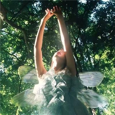 湖南卫视毕业礼